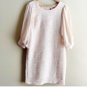 Just… Taylor dress size 6